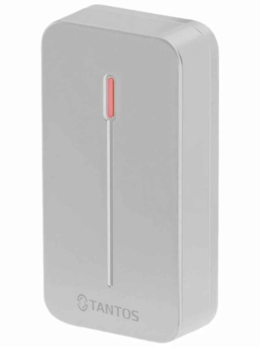 Считыватель TS-RDR-E mini (серый) - купить в Axivision